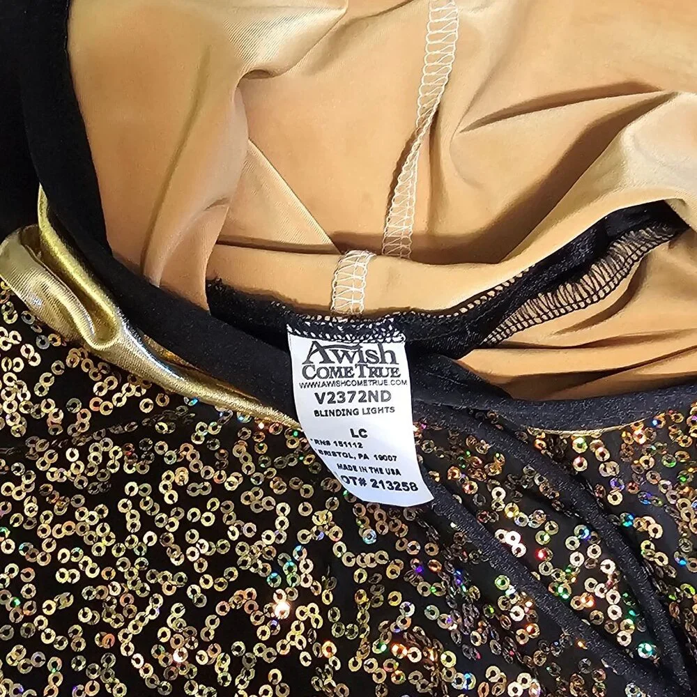 A Wish Come True Gold Sequin Sleeveless Dance Hoodie Jazz Hip Hop Performance LG